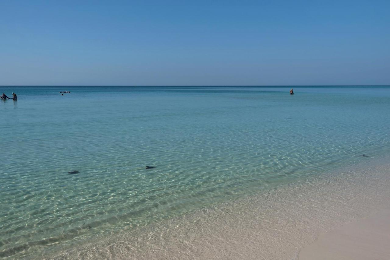 Apartamento Majestic Sun 1012A Destin Exterior foto
