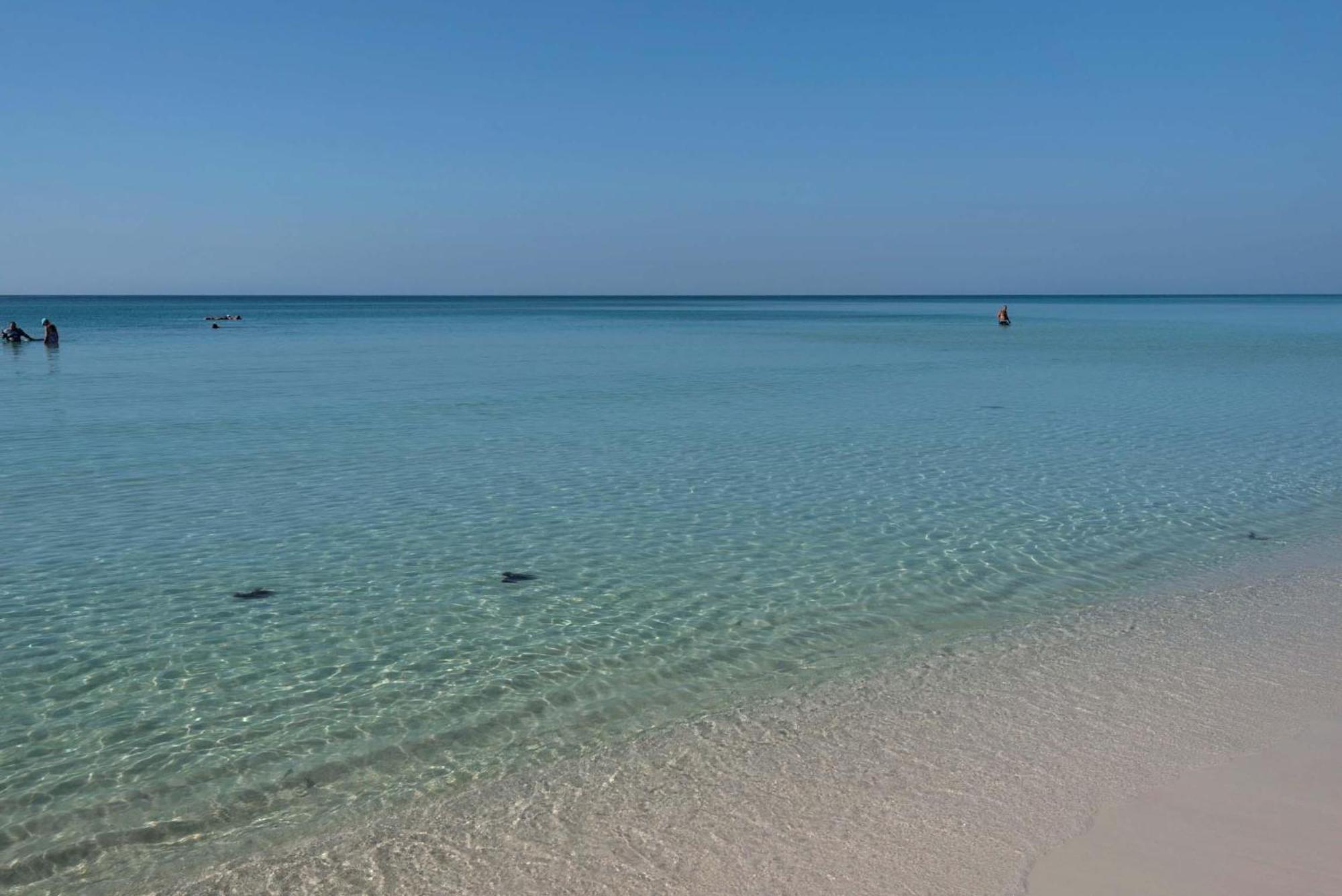 Apartamento Majestic Sun 1012A Destin Exterior foto